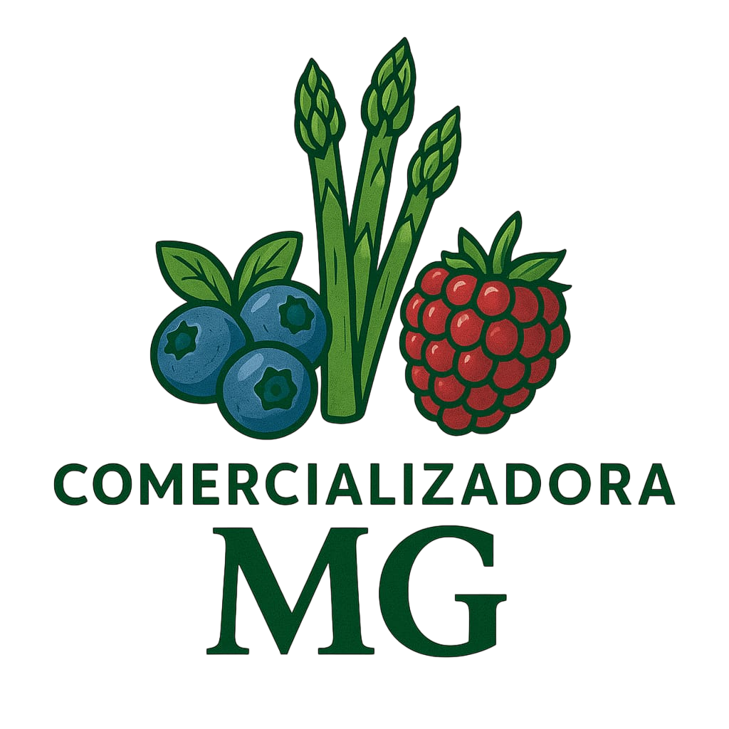 Logo Empresa